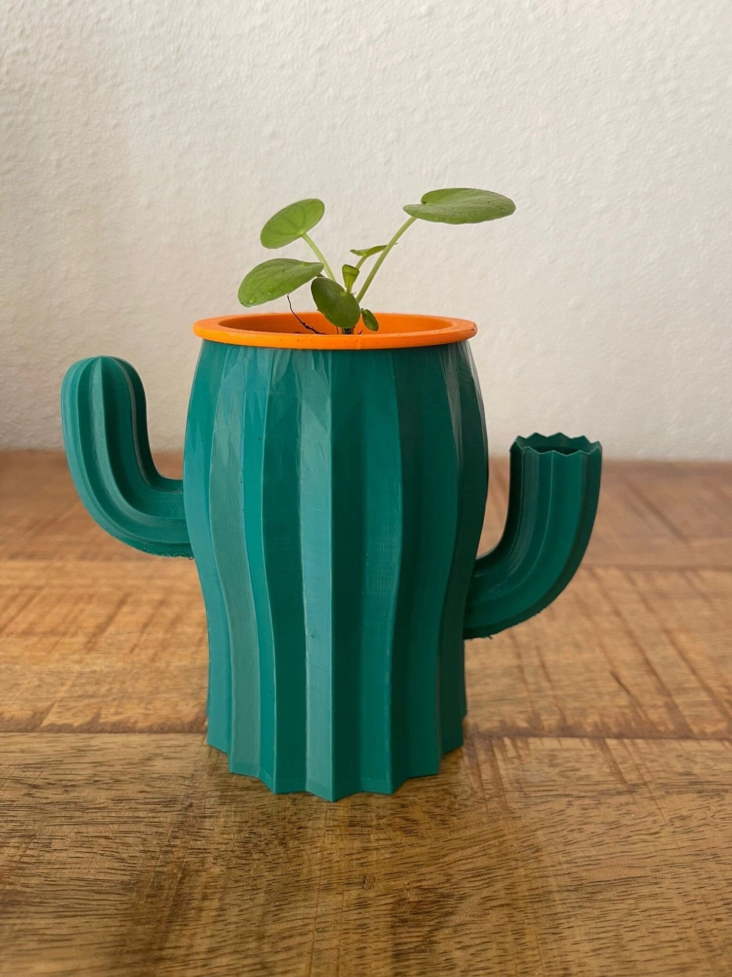 Cactus zelf water gevende bloem pot - 3D Geprint - 3DPrintingArtist